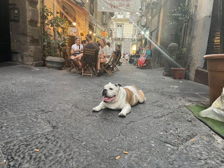 Ferienwohnung La Casa Di Sarah Aspetta Voi Neapel Exterior foto